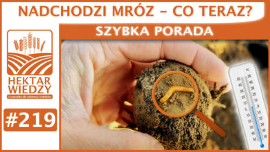 Photo of NADCHODZI MRÓZ – CO TERAZ? | SZYBKA PORADA #219