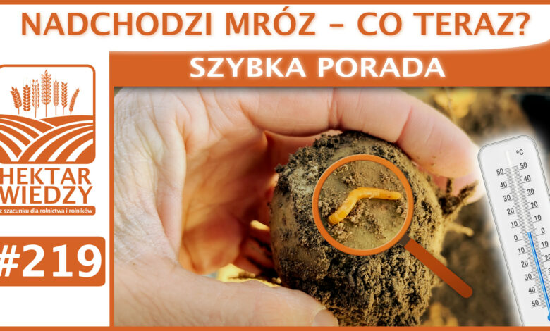 SZYBKA_PORADA_OKLADKA_219