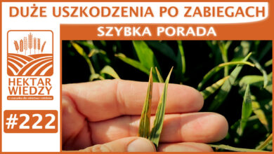 Photo of DUŻE USZKODZENIA PO ZABIEGACH! | SZYBKA PORADA #222