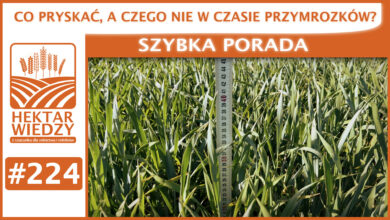 Photo of CO PRYSKAĆ, A CZEGO NIE W CZASIE PRZYMROZKÓW? | SZYBKA PORADA #224