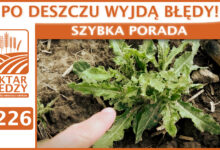 Photo of PO DESZCZU WYJDĄ BŁĘDY! | SZYBKA PORADA #226