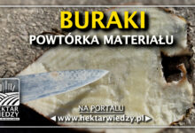 Photo of BURAKI – POWTÓRKA MATERIAŁU