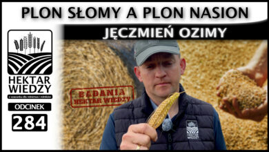 Photo of PLON SŁOMY A PLON NASION. PORÓWNANIE ODMIAN JĘCZMIENIA OZIMEGO. | ODCINEK 284