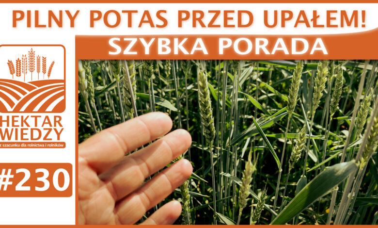 SZYBKA_PORADA_OKLADKA_230.