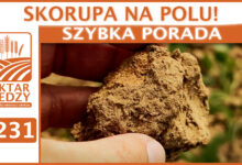 Photo of SKORUPA NA POLU. | SZYBKA PORADA #231
