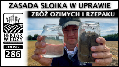 Photo of ZASADA „SŁOIKA” W UPRAWIE ZBÓŻ OZIMYCH I RZEPAKU. | ODCINEK 286
