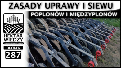 Photo of POPLONY I MIĘDZYPLONY – ZASADY UPRAWY I SIEWU. | ODCINEK 287
