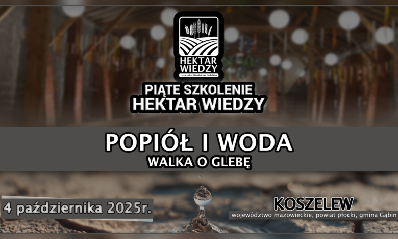 OKŁADKA_5SHW