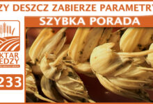 Photo of CZY DESZCZ ZABIERZE PARAMETRY? | SZYBKA PORADA #233