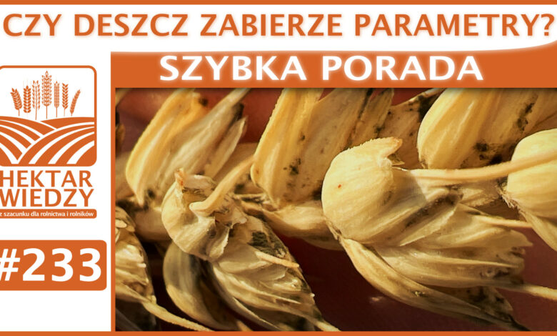 SZYBKA_PORADA_OKLADKA_233