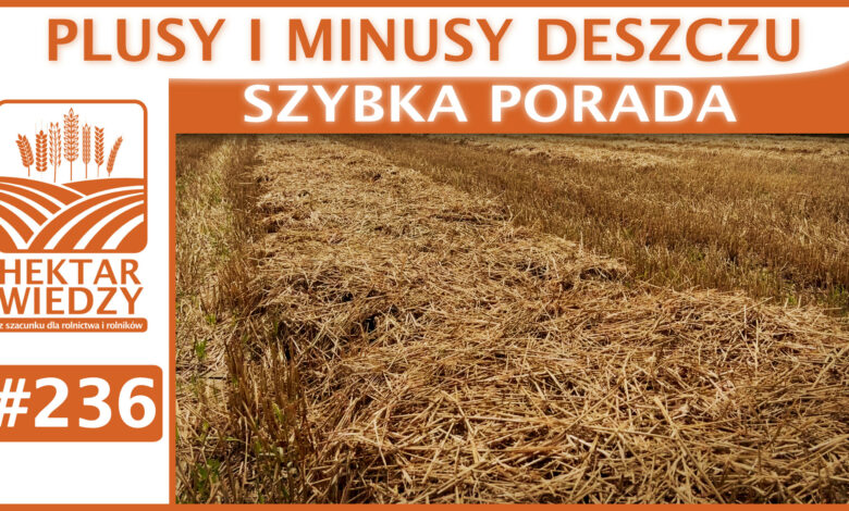SZYBKA_PORADA_OKLADKA_236