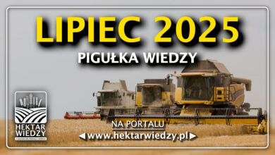 Photo of LIPIEC 2025 – PIGUŁKA WIEDZY