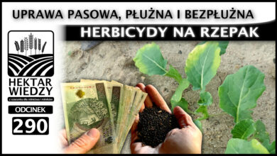 Photo of UPRAWA PASOWA, PŁUŻNA I BEZPŁUŻNA – HERBICYDY NA RZEPAK | ODCINEK 290