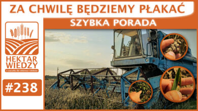 Photo of ZA CHWILĘ BĘDZIEMY PŁAKAĆ | SZYBKA PORADA #238