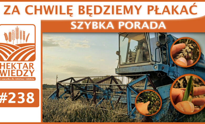 SZYBKA_PORADA_OKLADKA_238