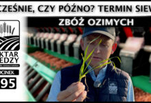 Photo of WCZEŚNIE CZY PÓŹNO? TERMIN SIEWU ZBÓŻ OZIMYCH. | ODCINEK 295
