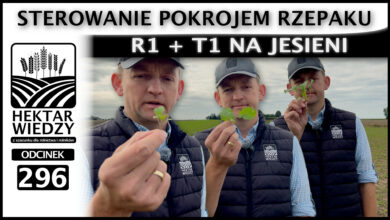 Photo of STEROWANIE POKROJEM RZEPAKU. R1 + T1 NA JESIENI. | ODCINEK 296