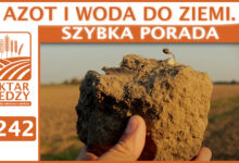 Photo of AZOT I WODA DO ZIEMI. | SZYBKA PORADA #242