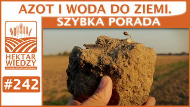 Photo of AZOT I WODA DO ZIEMI. | SZYBKA PORADA #242