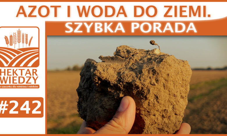 SZYBKA_PORADA_OKLADKA_242