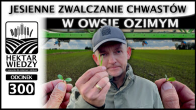 Photo of JESIENNE ZWALCZANIE CHWASTÓW W OWSIE OZIMYM. | ODCINEK 300