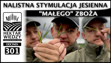 Photo of NALISTNA STYMULACJA JESIENNA „MAŁEGO” ZBOŻA. | ODCINEK 301