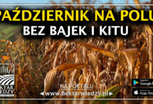 Photo of PAŹDZIERNIK 2025 – PIGUŁKA WIEDZY