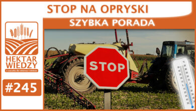 Photo of STOP NA OPRYSKI. | SZYBKA PORADA #245