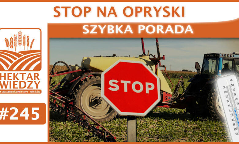 SZYBKA_PORADA_OKLADKA_245