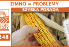 Photo of ZIMNO = PROBLEMY | SZYBKA PORADA #248