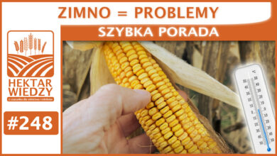 Photo of ZIMNO = PROBLEMY | SZYBKA PORADA #248