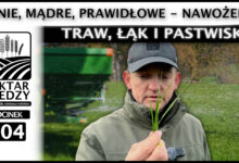 Photo of TANIE, MĄDRE, PRAWIDŁOWE – NAWOŻENIE TRAW, ŁĄK i PASTWISK. | ODCINEK 304