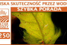 Photo of NISKA SKUTECZNOŚĆ PRZEZ WODĘ. | SZYBKA PORADA #250