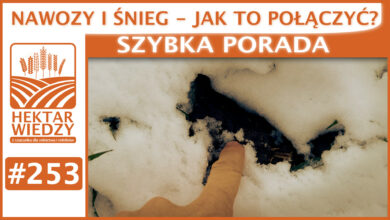 Photo of NAWOZY I ŚNIEG – JAK TO POŁĄCZYĆ? | SZYBKA PORADA #253