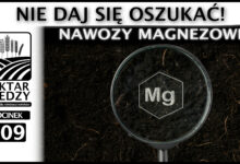 Photo of NIE DAJ SIĘ OSZUKAĆ! NAWOZY MAGNEZOWE. | ODCINEK 309