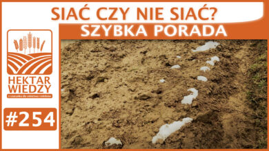 Photo of SIAĆ CZY NIE SIAĆ? | SZYBKA PORADA #254