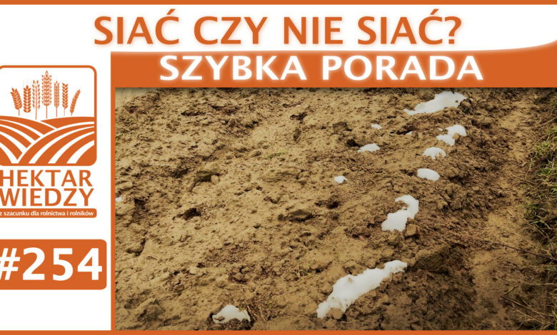 SZYBKA_PORADA_OKLADKA_254