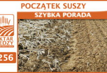 Photo of POCZĄTEK SUSZY | SZYBKA PORADA #256