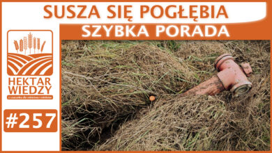Photo of SUSZA SIĘ POGŁĘBIA. | SZYBKA PORADA #257