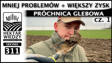 Photo of MNIEJ PROBLEMÓW + WIĘKSZY ZYSK – PRÓCHNICA GLEBOWA. (Część 1.) | ODCINEK 311