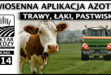 Photo of WIOSENNA APLIKACJA AZOTU. TRAWY, ŁĄKI, PASTWISKA. | ODCINEK 314