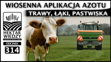 Photo of WIOSENNA APLIKACJA AZOTU. TRAWY, ŁĄKI, PASTWISKA. | ODCINEK 314