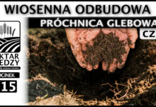 Photo of WIOSENNA ODBUDOWA – PRÓCHNICA GLEBOWA. (Część 3.) | ODCINEK 315