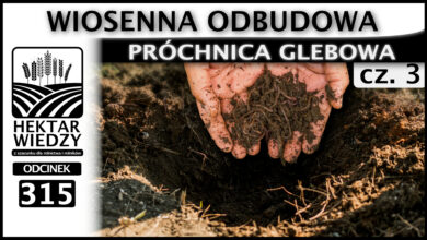 Photo of WIOSENNA ODBUDOWA – PRÓCHNICA GLEBOWA. (Część 3.) | ODCINEK 315