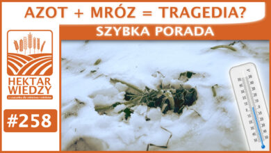 Photo of AZOT + MRÓZ = TRAGEDIA? | SZYBKA PORADA #258