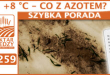 Photo of +8 °C – CO Z AZOTEM? | SZYBKA PORADA #259