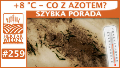 Photo of +8 °C – CO Z AZOTEM? | SZYBKA PORADA #259
