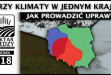 Photo of TRZY KLIMATY W JEDNYM KRAJU. JAK PROWADZIĆ UPRAWY?  | ODCINEK 318