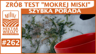 Photo of ZRÓB TEST „MOKREJ MISKI”. | SZYBKA PORADA #262