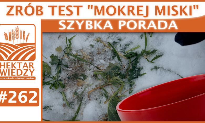 SZYBKA_PORADA_OKLADKA_262